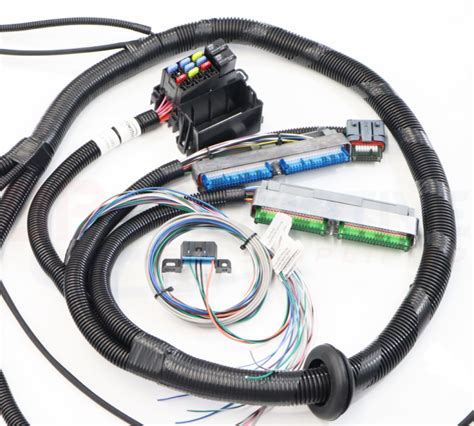 standalone harness lq4 wiring 